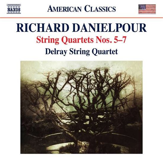 Danielpour: String Qtets 5-7 - Delray String Quartet - Música - NAXOS - 0636943984529 - 2018