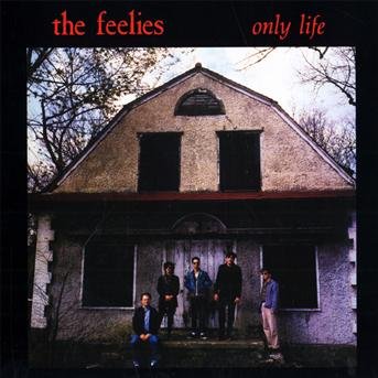 Only Life - Feelies - Music - WATER - 0646315722529 - June 24, 2008