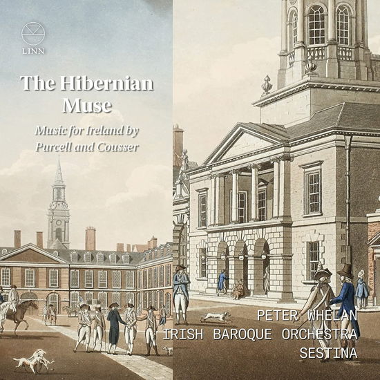 Cover for Irish Baroque Orchestra / Peter Whelan / Sestina · The Hibernian Muse. Music For Ireland By Purcell And Cousser (CD) (2022)