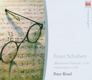 Wanderer Fantasy & Impromptus - Schubert / Rosel - Musik - Berlin Classics - 0782124136529 - 2. januar 2007