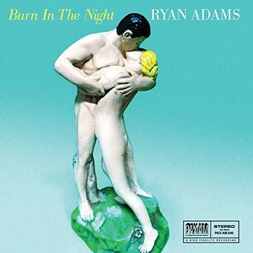 Cover for Ryan Adams · Burn in the Night (7&quot;) (2015)