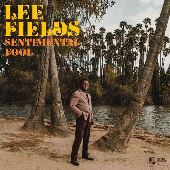 Sentimental Fool - Lee Fields - Music - DAPTONE - 0823134007529 - October 28, 2022