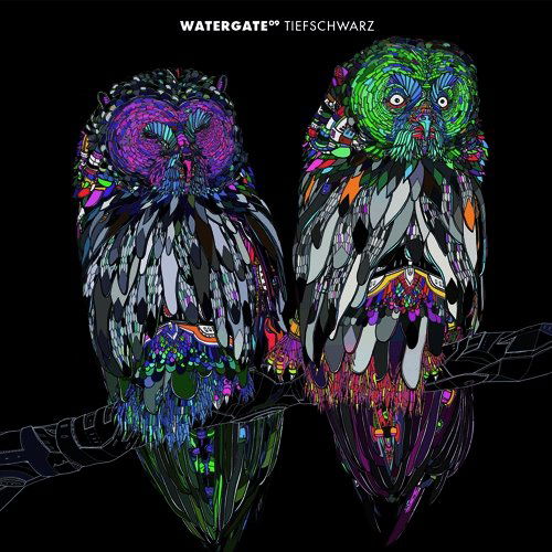 Watergate 09 - Tiefschwarz - Music - WATERGATE - 0827170119529 - November 4, 2011