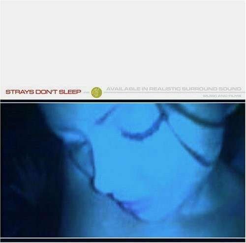 Strays Don't Sleep - Strays Dont Sleep - Muziek - One Little Indian - 0827954047529 - 20 april 2010