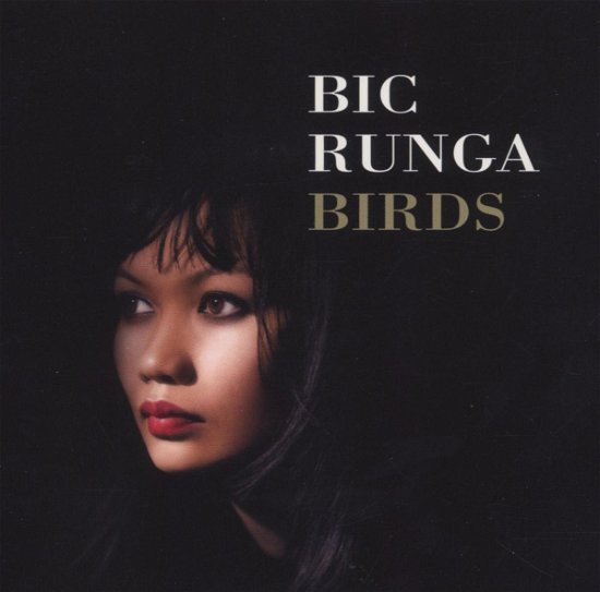 Birds - Bic Runga - Musik - Sony - 0828768124529 - 13. maj 2006