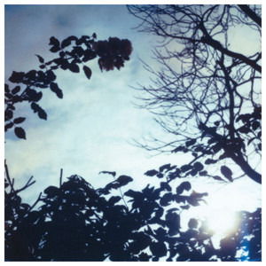 Cover for Pillow · Flowing Seasons (CD) (2006)