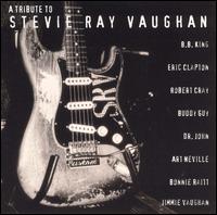 Cover for Tribute to Stevie Ray Vaughan (CD) (1996)