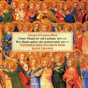 Cantatas Bwv 110 / Bwv 17 - Bach,j.s. / Windsbacher Knabenchor - Muziek - BAY - 4011563200529 - 2012