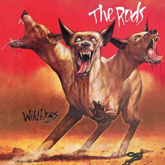 Wild Dogs - The Rods - Musik - HIGH ROLLER - 4251267708529 - 7. Januar 2022