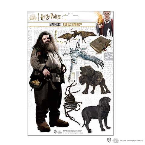 Cover for Harry Potter · Hagrid - Board Of 7 Foam Magnets (Toys)