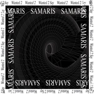 Cover for Samaris · Wanted 2 Say (LP) (2016)