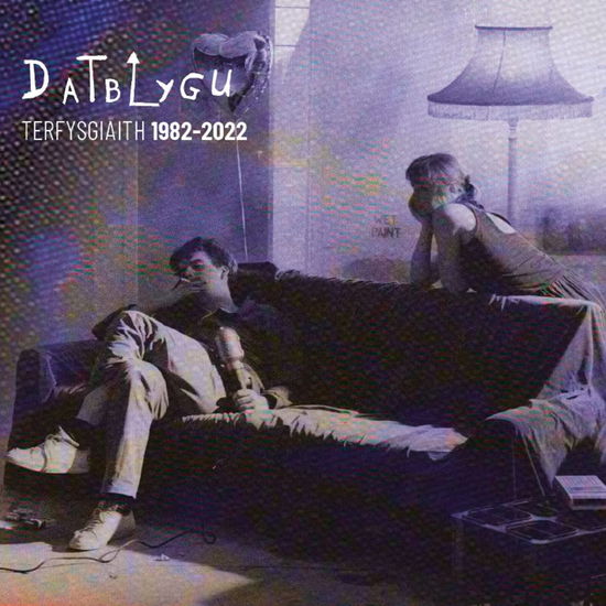 Cover for Datblygu · Terfysgiaith 19822022 (CD) (2023)