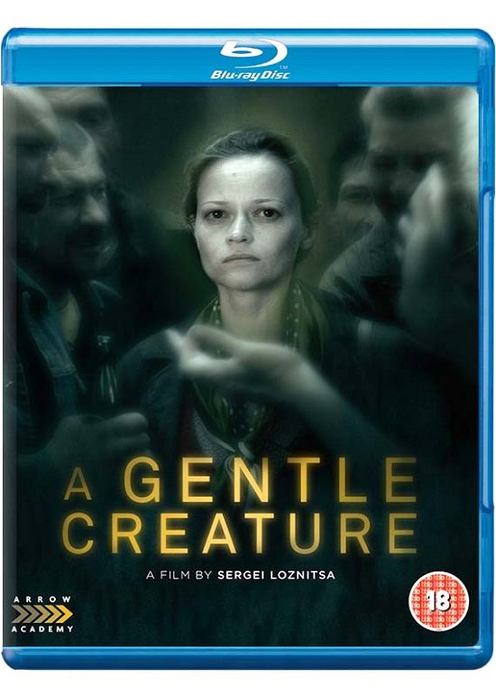 A Gentle Creature - Sergei Loznitsa - Movies - Arrow Academy - 5027035019529 - August 20, 2018