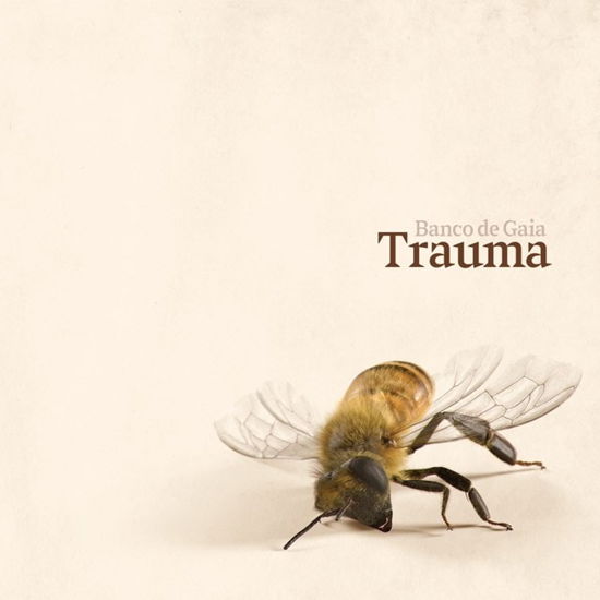 Cover for Banco De Gaia · Trauma (CD) (2024)