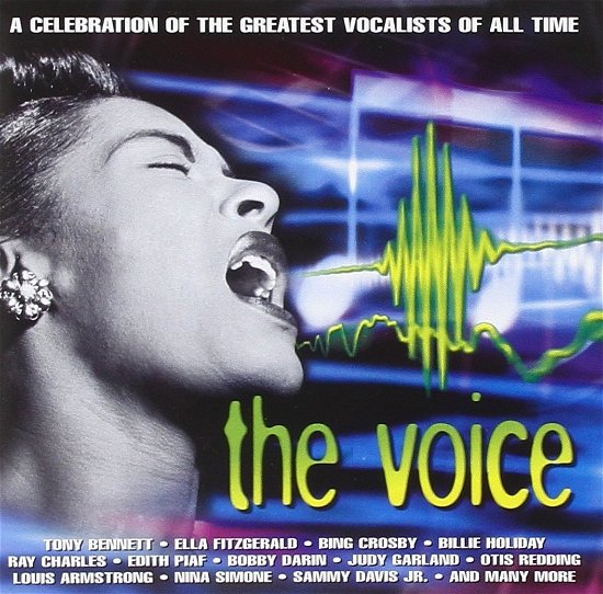 Voice - V/A - Muziek - WSM - 5050467193529 - 2 februari 2004