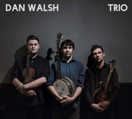 Trio - Dan Walsh - Música - ROOKSMERE - 5052442015529 - 17 de maio de 2019