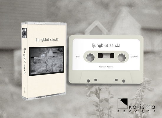 Cover for Ljungblut · Sauda (Cassette) (2023)