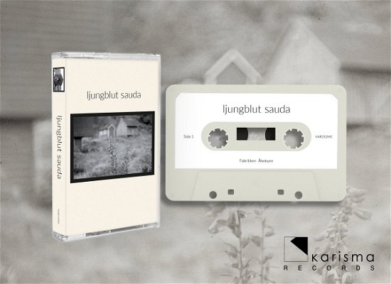 Cover for Ljungblut · Sauda (Cassette)