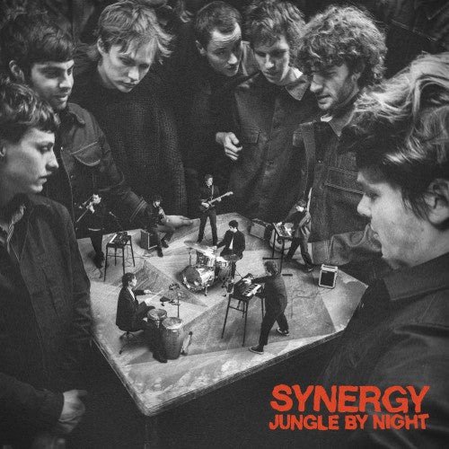 Cover for Jungle By Night · Synergy (LP) (2024)
