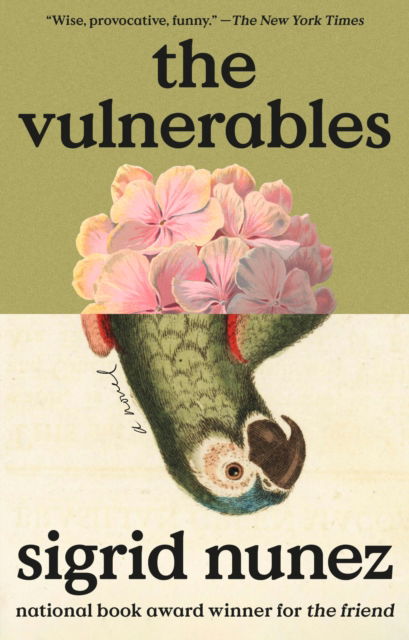 Cover for Sigrid Nunez · The Vulnerables (Taschenbuch) (2024)