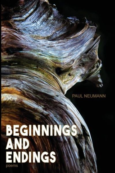 Cover for Paul Neumann · Beginnings and Endings (Paperback Book) (2016)