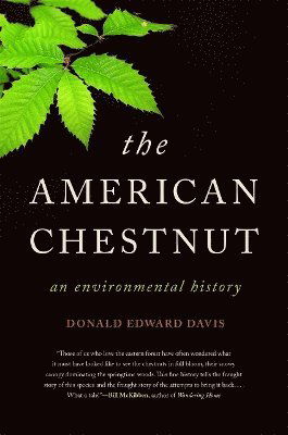 Cover for Donald Edward Davis · The American Chestnut: An Environmental History - Wormsloe Foundation Nature Books (Paperback Book) (2025)
