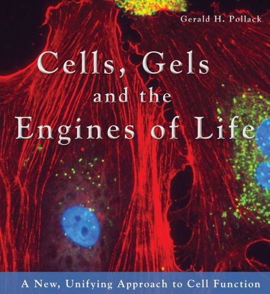 Cover for Gerald H. Pollack · Cells, Gels and the Engines of Life (Paperback Book) (2001)