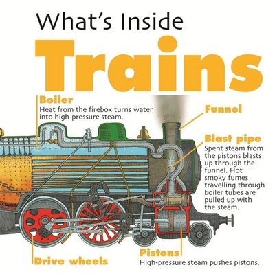 Cover for David West · What's Inside?: Trains - What's Inside? (Paperback Book) (2018)