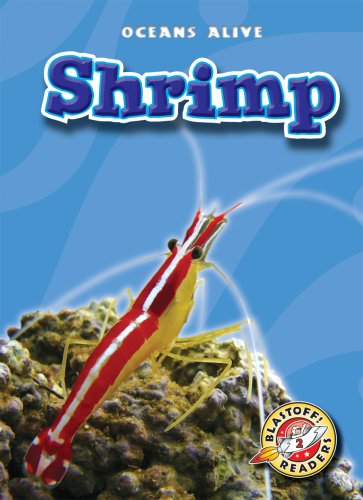 Cover for Colleen Sexton · Shrimp (Blastoff! Readers: Oceans Alive) (Hardcover Book) (2009)