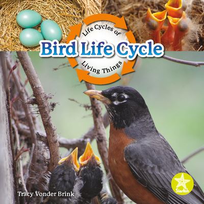 Cover for Tracy Vonder Brink · Bird Life Cycle (Book) (2022)