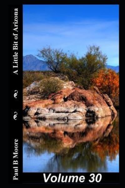 Cover for Paul Moore · A Little Bit of Arizona (Pocketbok) (2018)