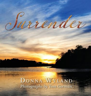 Cover for Donna Wyland · Surrender (Hardcover Book) (2019)