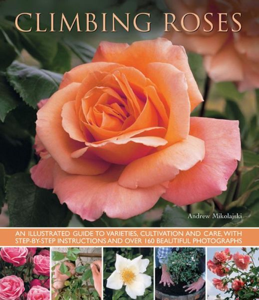 Cover for Andrew Mikolajski · Climbing Roses (Paperback Book) (2013)