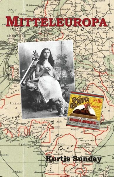 Mitteleuropa - Kurtis Sunday - Livros - Cambria Publishing - 9781838280529 - 18 de dezembro de 2020