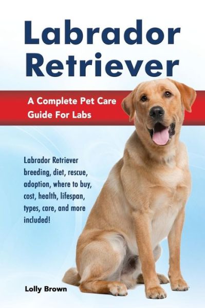 Cover for Lolly Brown · Labrador Retriever (Paperback Book) (2016)