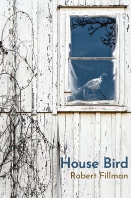 Cover for Robert Fillman · House Bird (Paperback Book) (2022)