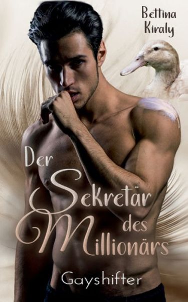 Cover for Bettina Kiraly · Der Sekretar des Millionars (Paperback Book) (2020)