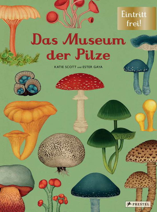 Das Museum der Pilze - Ester Gaya - Books - Prestel Verlag - 9783791374529 - August 23, 2021