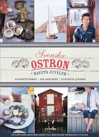 Cover for Elisabeth Öhman · Svenska Ostron : havets juveler (Bound Book) (2015)