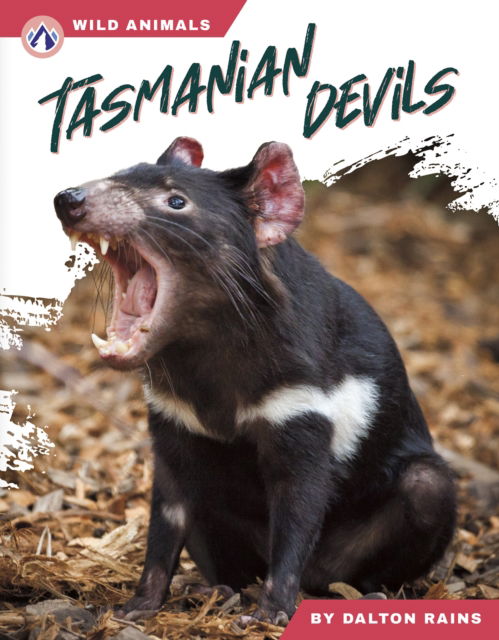 Cover for Dalton Rains · Tasmanian Devils - Wild Animals Set 2 (Hardcover Book) (2025)