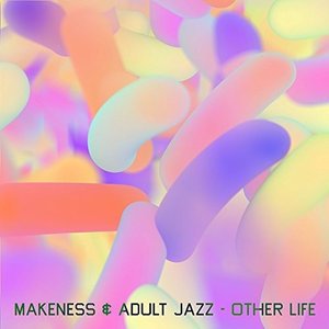 Other Life - Makeness & Adult Jazz - Musiikki - WARNER - 0190295899530 - perjantai 7. lokakuuta 2022