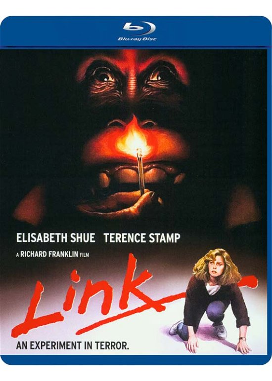 Cover for Link (Blu-ray) [Special edition] (2019)