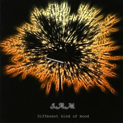 Cover for Sam · Different Kind of Mood (CD) (2009)