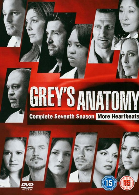 Cover for Grey's Anatomy · Complete 7Th Season (6 Dvd) [Edizione: Paesi Bassi] (DVD) (2012)