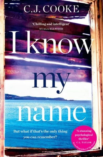 I Know My Name - C.J. Cooke - Bøger - HarperCollins Publishers - 9780008237530 - 15. juni 2017