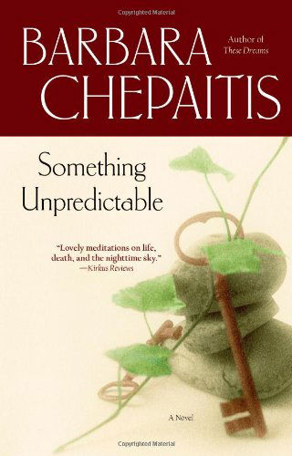 Cover for Barbara Chepaitis · Something Unpredictable: a Novel (Paperback Book) [Reprint edition] (2005)