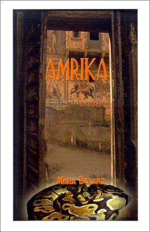 Cover for Maria Bolanz · Amrika (Hardcover bog) (2001)
