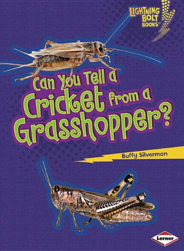 Cover for Buffy Silverman · Can You Tell a Cricket from a Grasshopper? (Lightning Bolt Books: Animal Look-alikes) (Paperback Book) (2012)