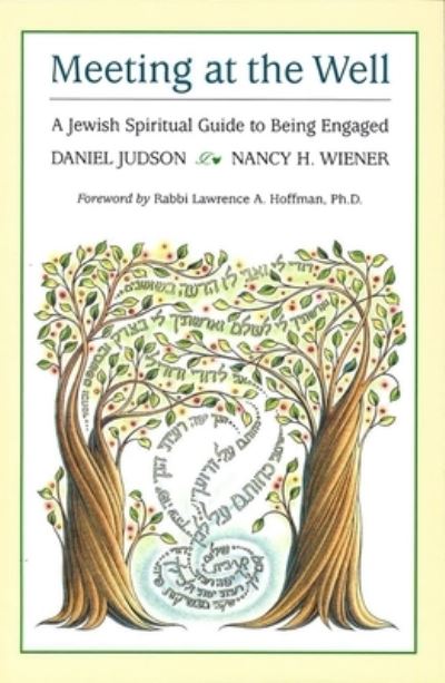 Cover for Dan Judson · Meeting at the Well (Paperback Book) (1999)