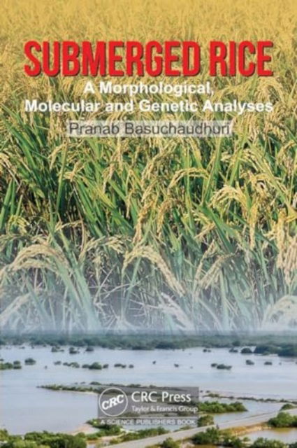 Submerged Rice: Morphological, Molecular and Genetic Analyses - Basuchaudhuri, Pranab (Indian Council of Agricultural Research (Retired), Kolkata, India) - Books - Taylor & Francis Ltd - 9781032660530 - August 23, 2024